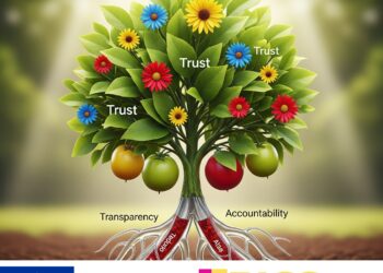 Прозорість та підзвітність громадських організацій: як побудувати довіру?Досвід України, Вірменії, Грузії та Молдови