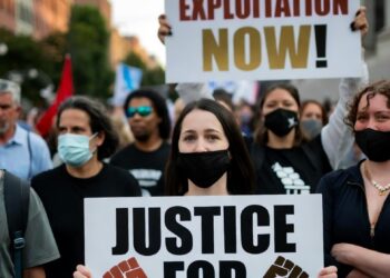 Трудові права в умовах кризи: що потрібно знати працівникам України, Грузії та Вірменії